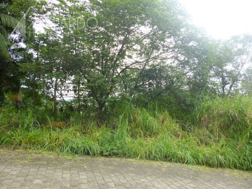 Área com 657m2,(17,50-17,50x37-37). Zoneamento ZR1 - Coef.1,2 e taxa de ocupação: 60% ideal para construção de sobrados. Rua sem saída, imediações Santa Clara Veículos. Ultimo terreno á direita. Rua sem saida. - foto 1