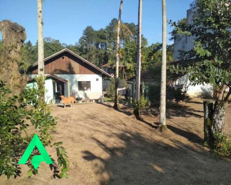 Foto 01