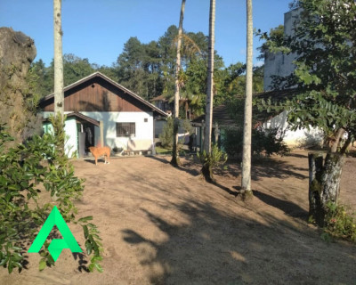 Foto 01