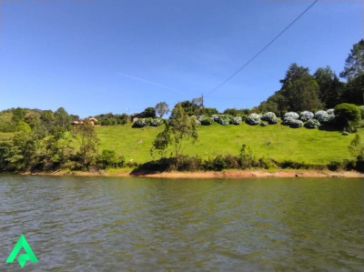 Rio dos Cedros