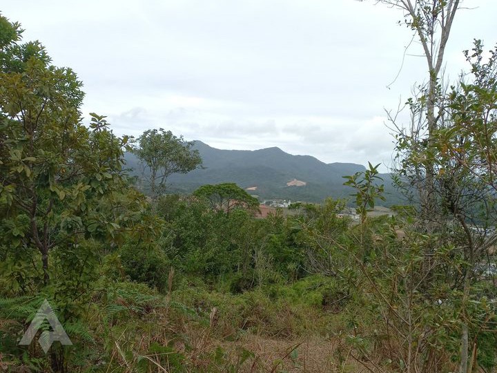 Propriedade Ampla em Gaspar, Bairro Macucos - Potencial para Expansão e Desenvolvimento! — foto 4
