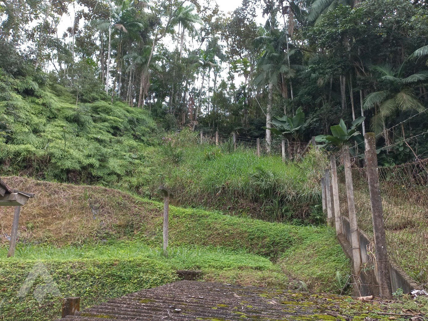 Propriedade Ampla em Gaspar, Bairro Macucos - Potencial para Expansão e Desenvolvimento! — foto 3