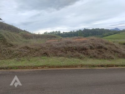 Rio dos Cedros