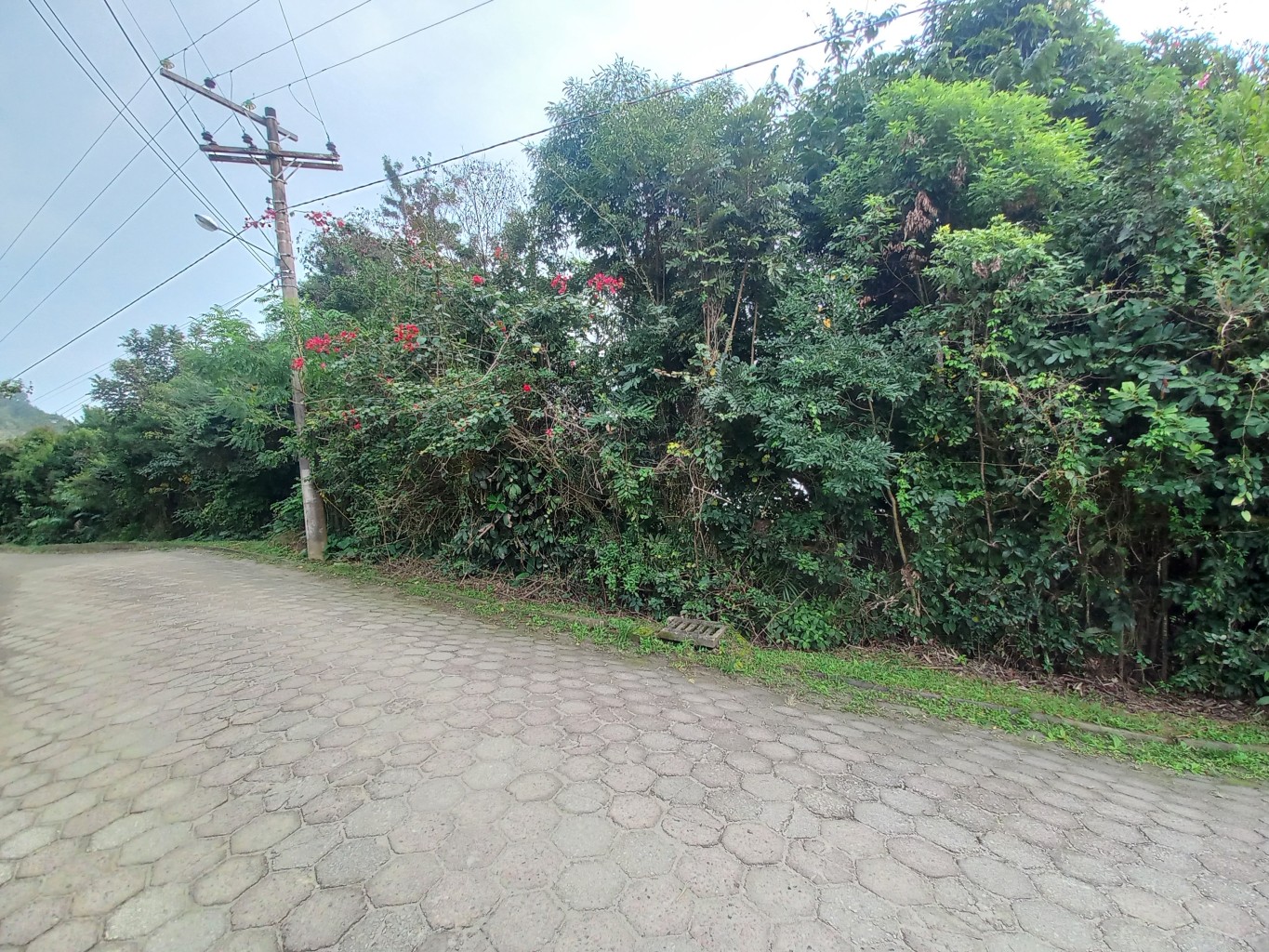 Terreno exclusivo FRENTE MAR na Praia do Estaleiro, em Porto Belo/SC! Com área total de 3.354,5 m. Ideal para projetos sustentáveis e de alto padrão — foto 4