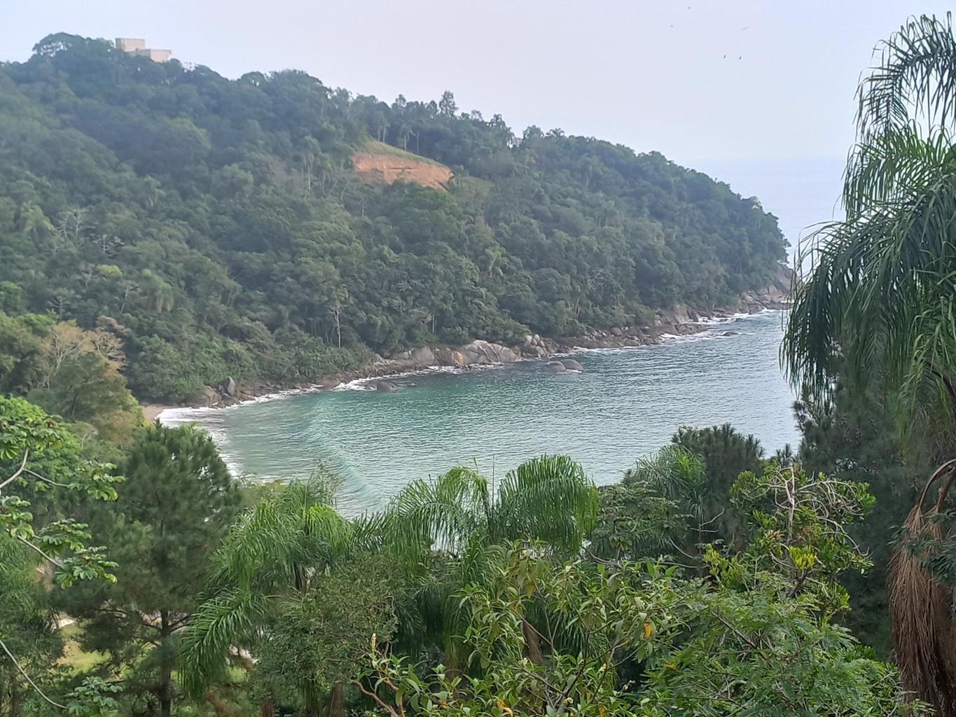 Terreno exclusivo FRENTE MAR na Praia do Estaleiro, em Porto Belo/SC! Com área total de 3.354,5 m. Ideal para projetos sustentáveis e de alto padrão - foto 1