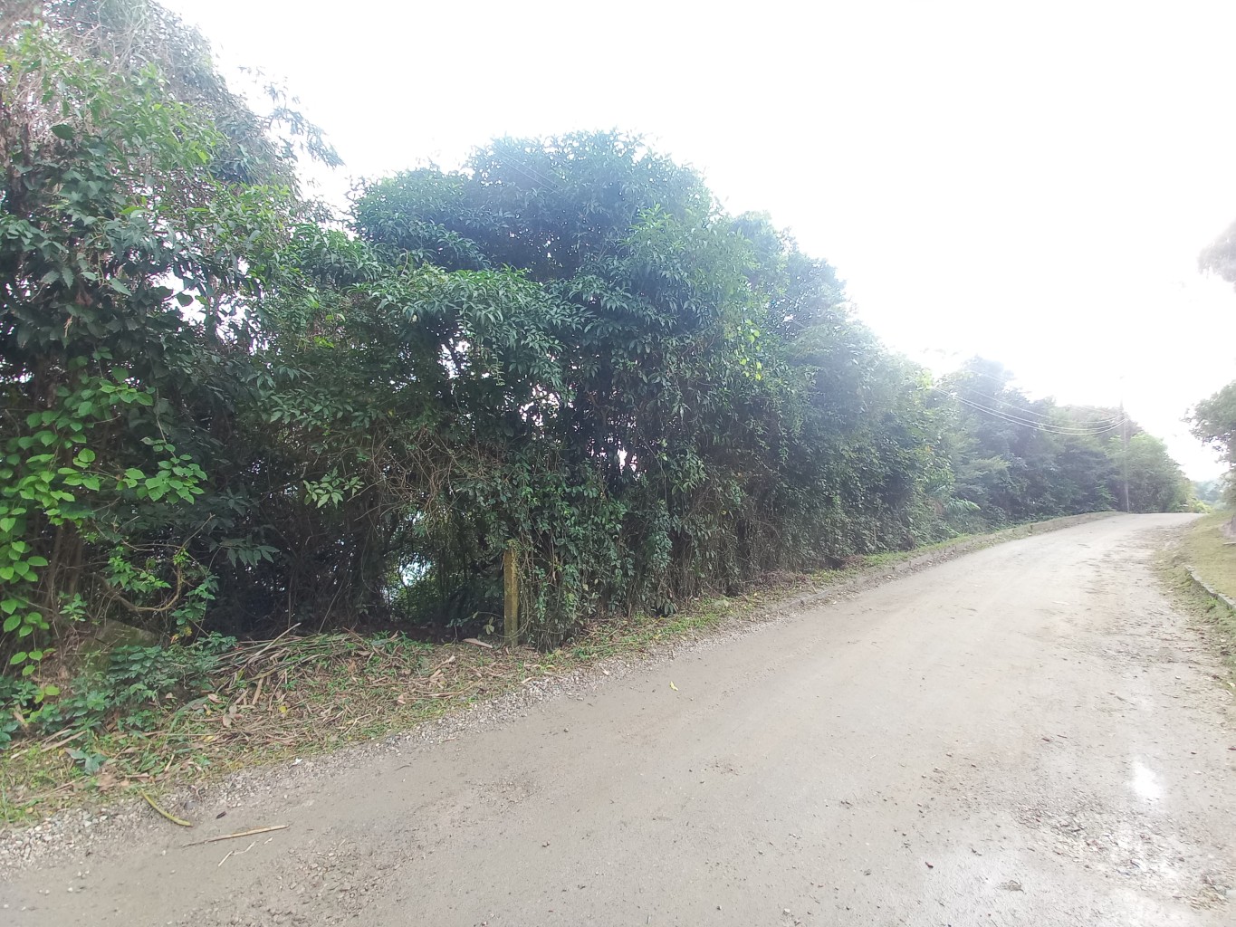 Terreno exclusivo FRENTE MAR na Praia do Estaleiro, em Porto Belo/SC! Com área total de 3.354,5 m. Ideal para projetos sustentáveis e de alto padrão — foto 3