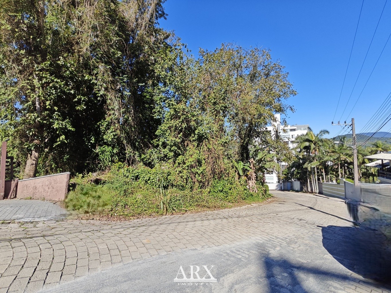 Terreno à Venda - Bairro Fortaleza | Blumenau/SC — foto 4