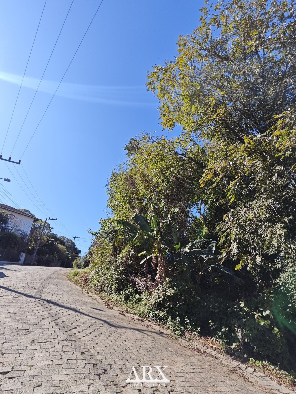 Terreno à Venda - Bairro Fortaleza | Blumenau/SC — foto 6