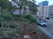 Imagem imóvel