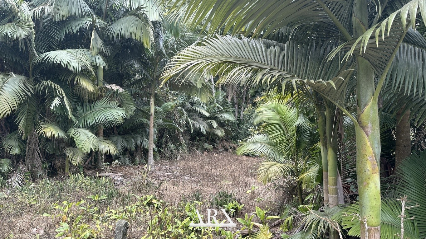 Terreno exclusivo no Fidélis - Ideal para Investimento e Construção — foto 4