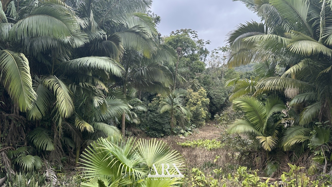 Terreno exclusivo no Fidélis - Ideal para Investimento e Construção — foto 5