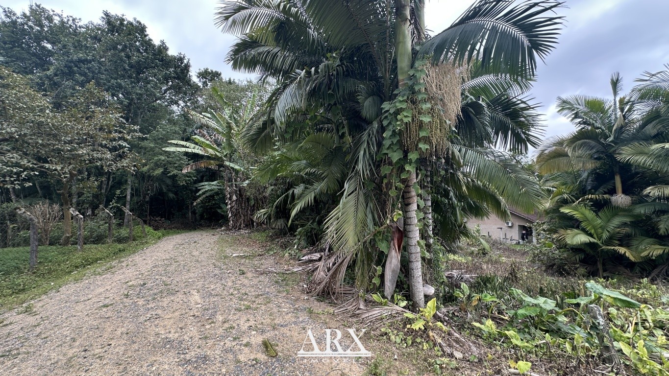 Terreno exclusivo no Fidélis - Ideal para Investimento e Construção — foto 2