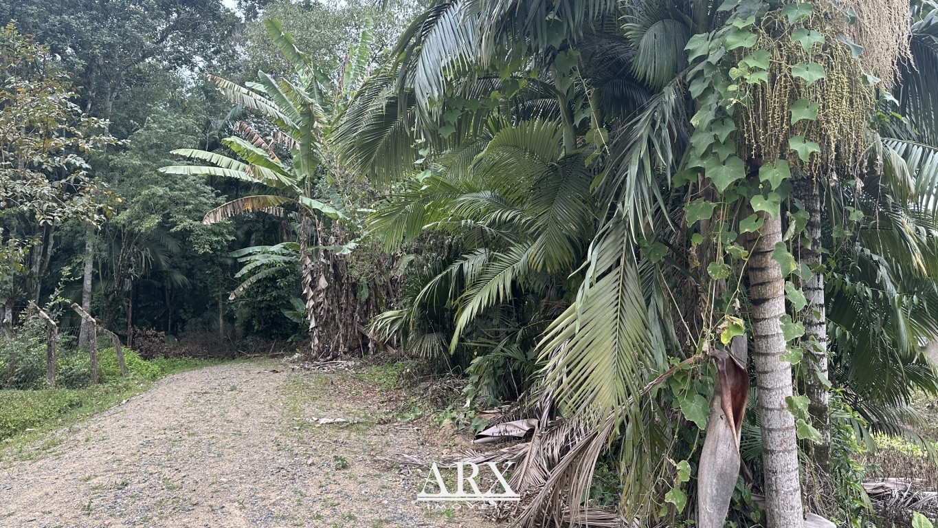 Terreno exclusivo no Fidélis - Ideal para Investimento e Construção — foto 3