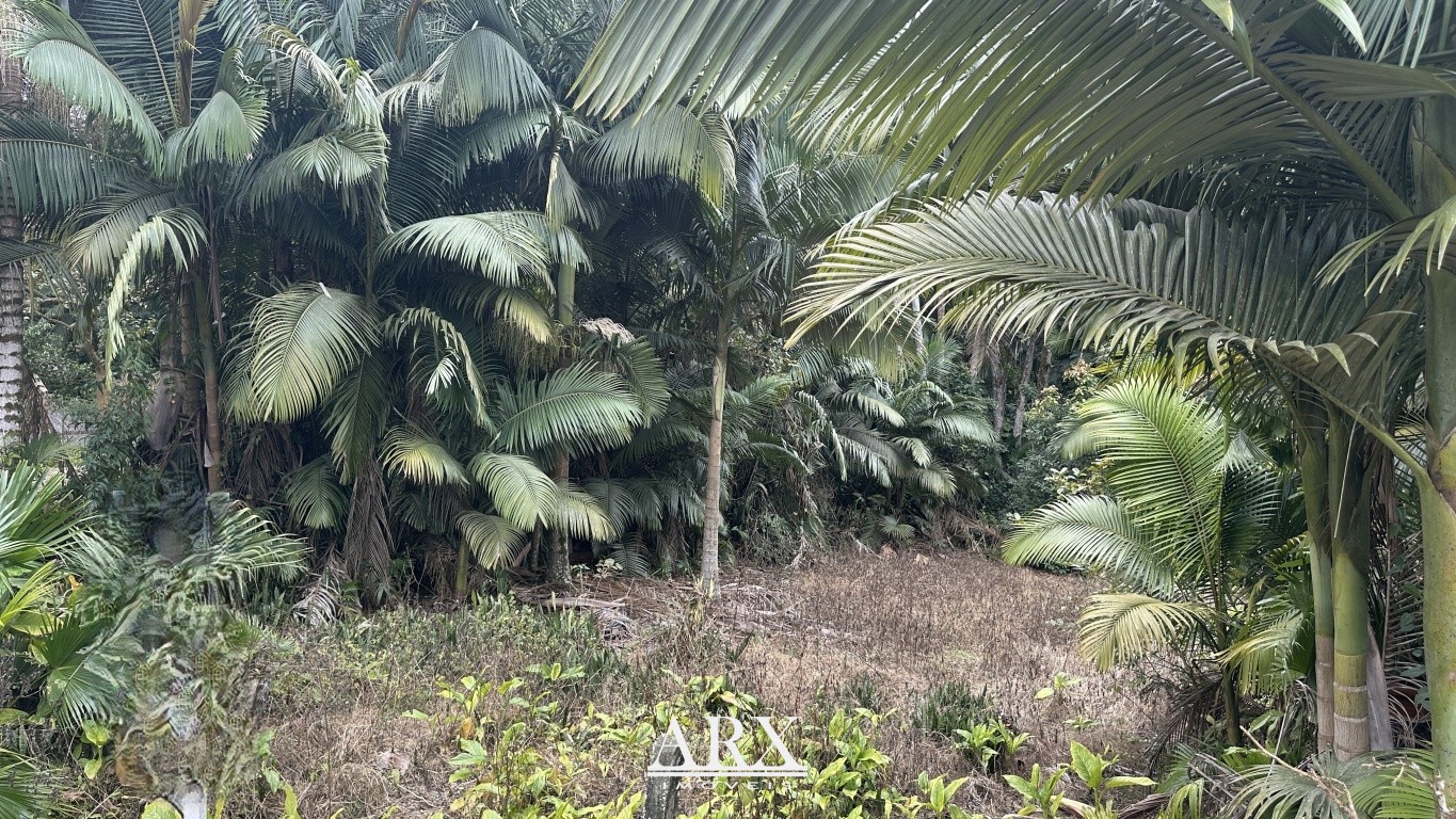 Terreno exclusivo no Fidélis - Ideal para Investimento e Construção — foto 6