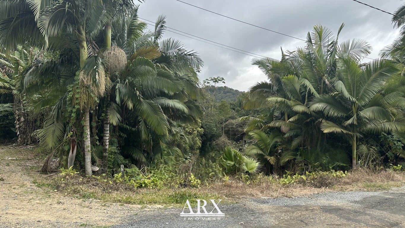 Terreno exclusivo no Fidélis - Ideal para Investimento e Construção - foto 1