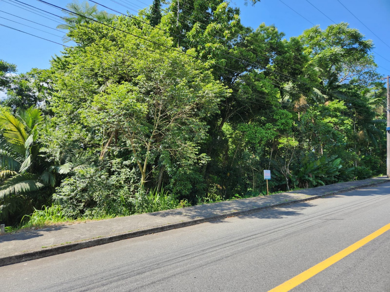 Lote/Terreno no bairro Escola Agrícola, em Blumenau | Eu Corretor