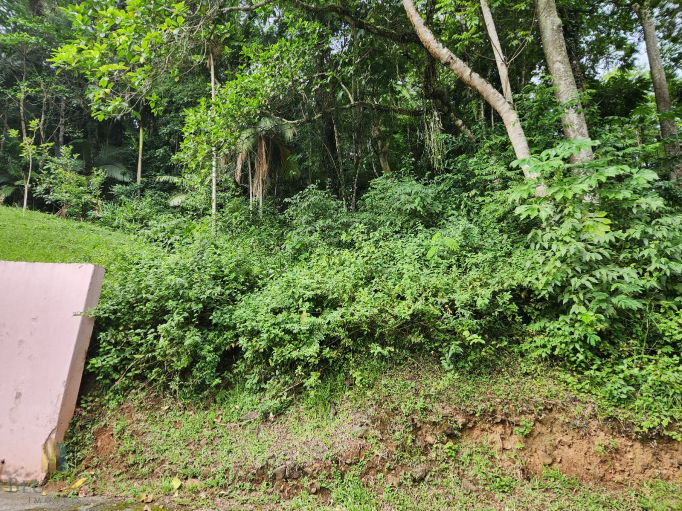 Lote/Terreno de 2310m² no bairro Vila Nova, em Blumenau | Eu Corretor