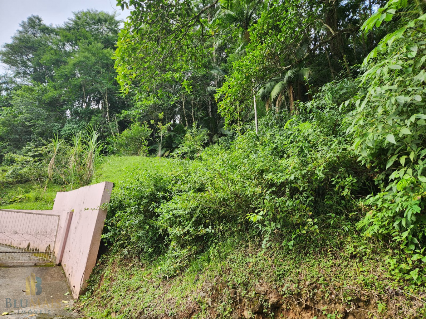Lote/Terreno de 2310m² no bairro Vila Nova, em Blumenau | Eu Corretor