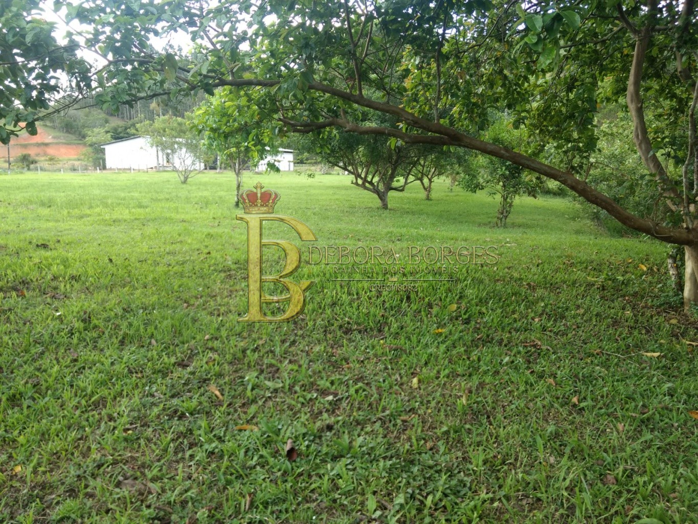 Lote/Terreno de 60015m² no bairro Encano do Norte, em Indaial | Eu Corretor