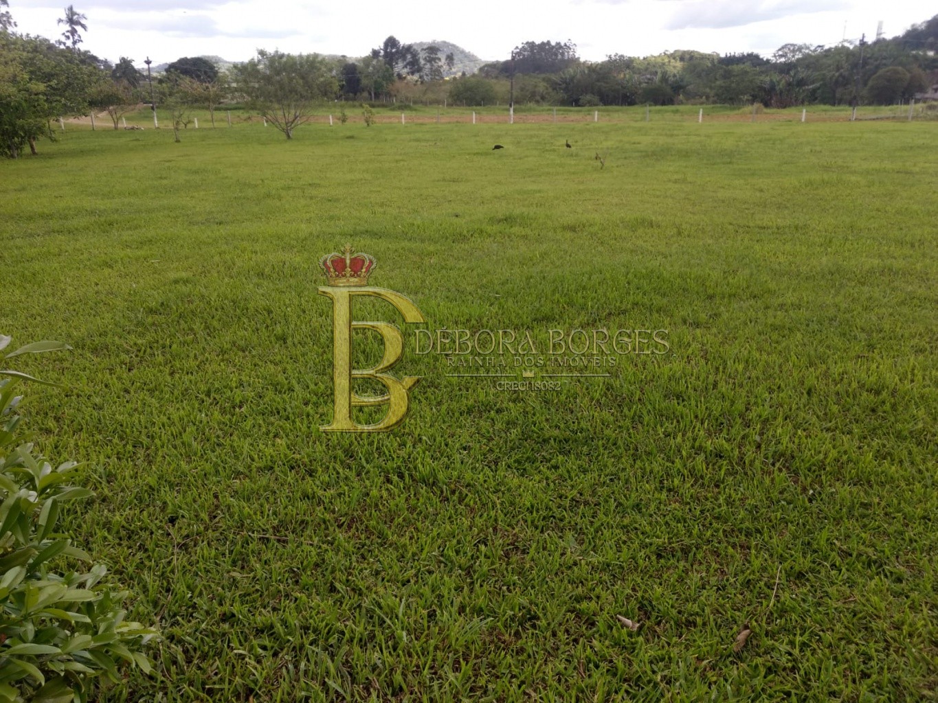 Lote/Terreno de 60015m² no bairro Encano do Norte, em Indaial | Eu Corretor
