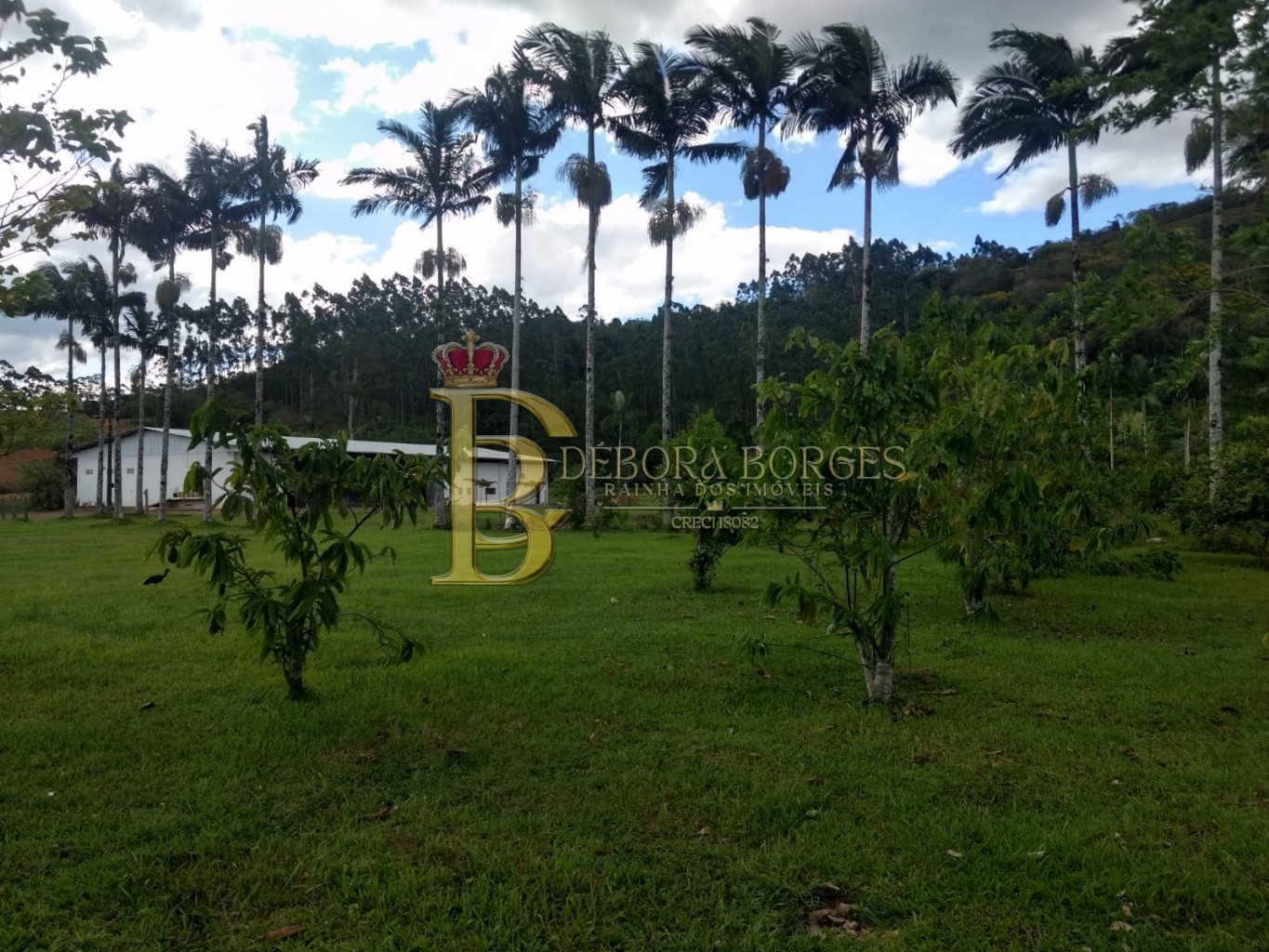 Lote/Terreno de 120000m² no bairro Encano do Norte, em Indaial | Eu Corretor