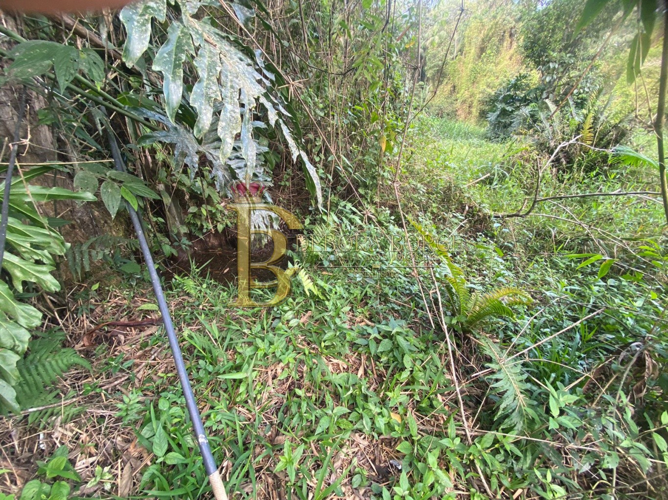 Fazenda/Sítios/Chácaras de 3 quartos, 15000m² no bairro Encano Baixo, em Indaial | Eu Corretor