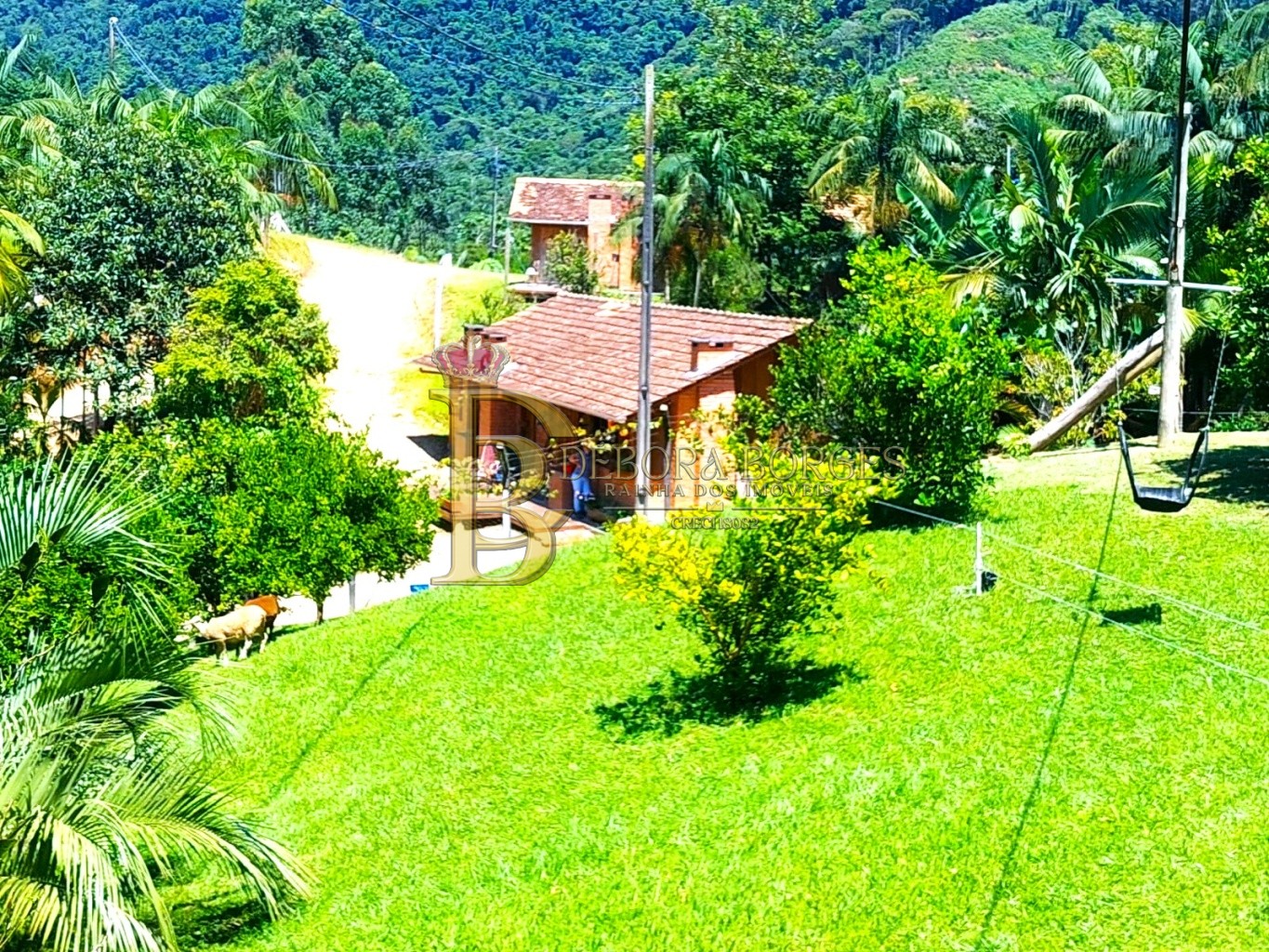 Fazenda/Sítios/Chácaras de 6 quartos, 470m² no bairro Margem Esquerda, em Apiúna | Eu Corretor