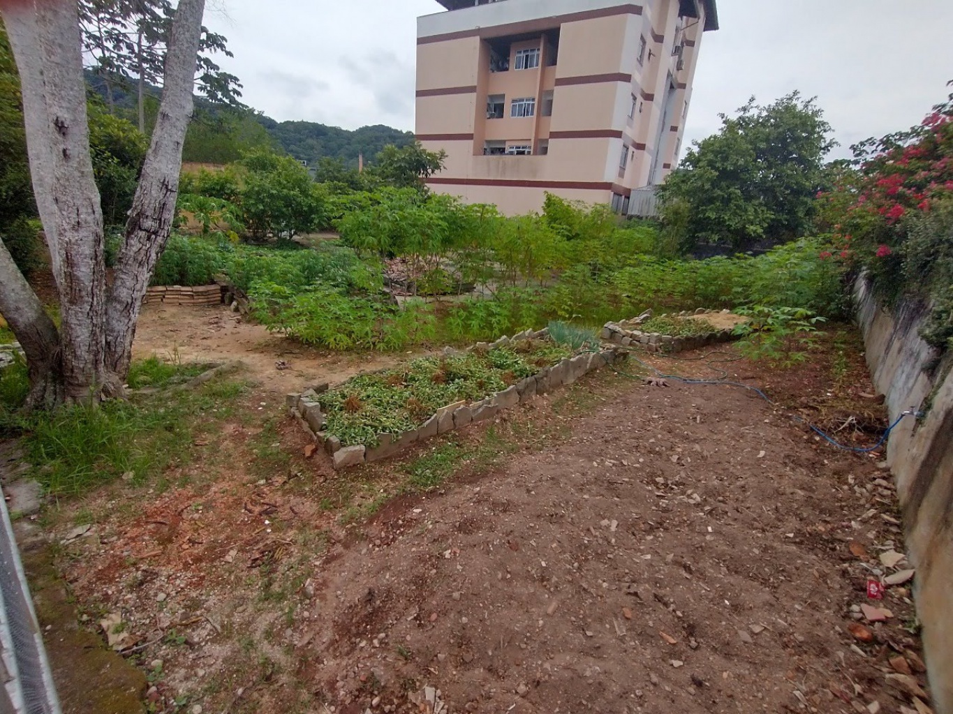 Terreno comercial com duas frentes com 1.246,87 m, sendo 22,80 metros de frente com Rua Amazonas e 51 metros de frente com Rua Portugal. — foto 3