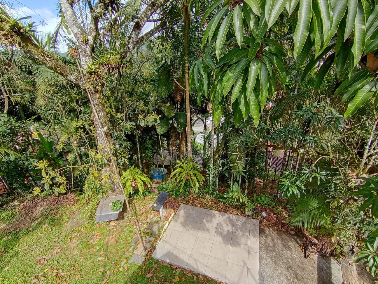 Imóvel para venda no bairro Progresso em Blumenau, SC. — foto 3