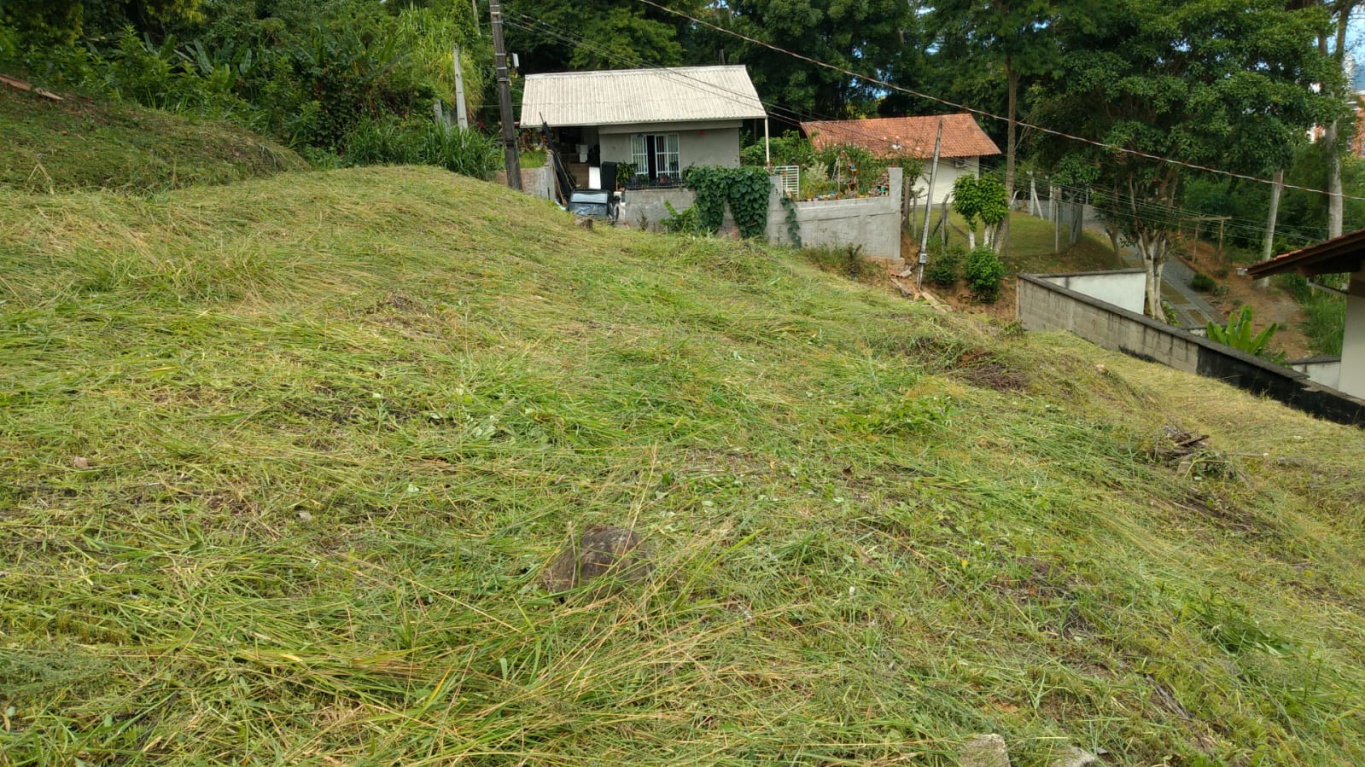Imperdível! Terreno à venda contendo 906m fazendo 31m de frente no bairro Escola Agrícola. — foto 3