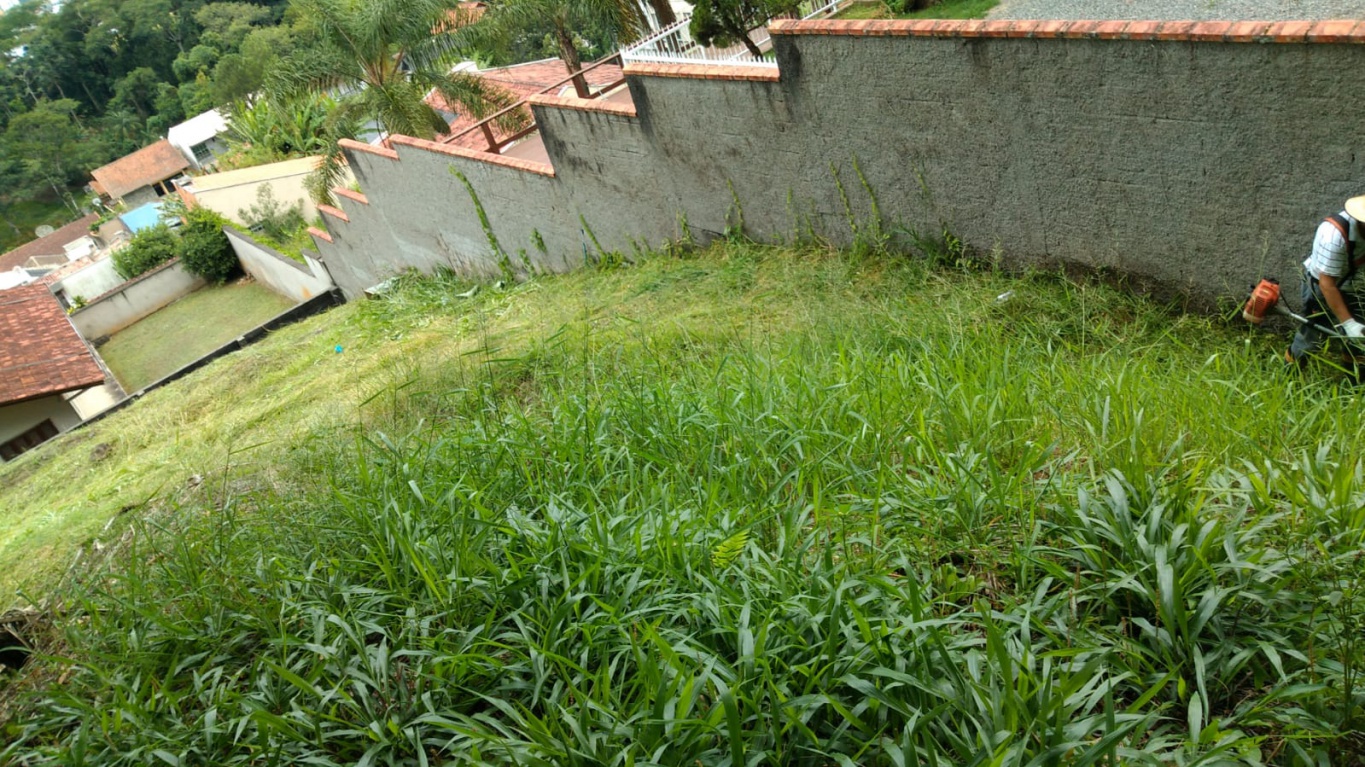 Imperdível! Terreno à venda contendo 906m fazendo 31m de frente no bairro Escola Agrícola. — foto 4