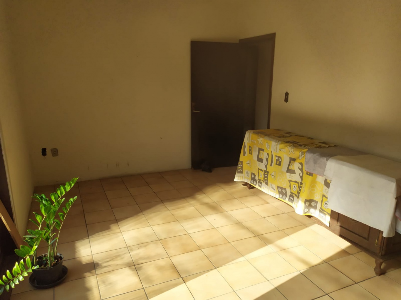 Prédio comercial localizado em corredor de serviço em Blumenau — foto 5