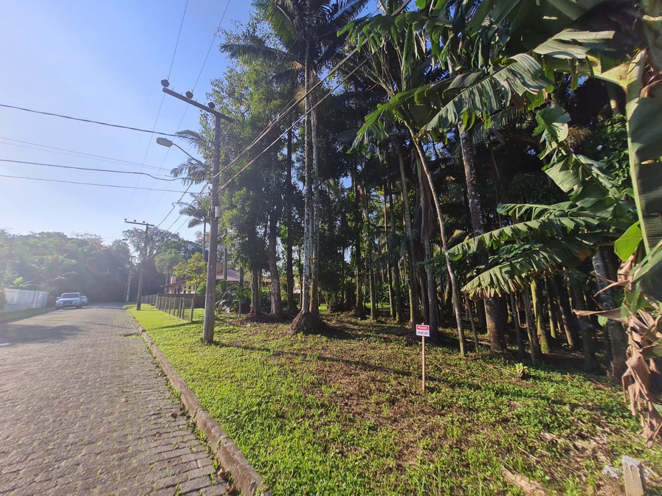 Terreno plano com excelente localização e metragem, próximo ao centro de Blumenau. — foto 3