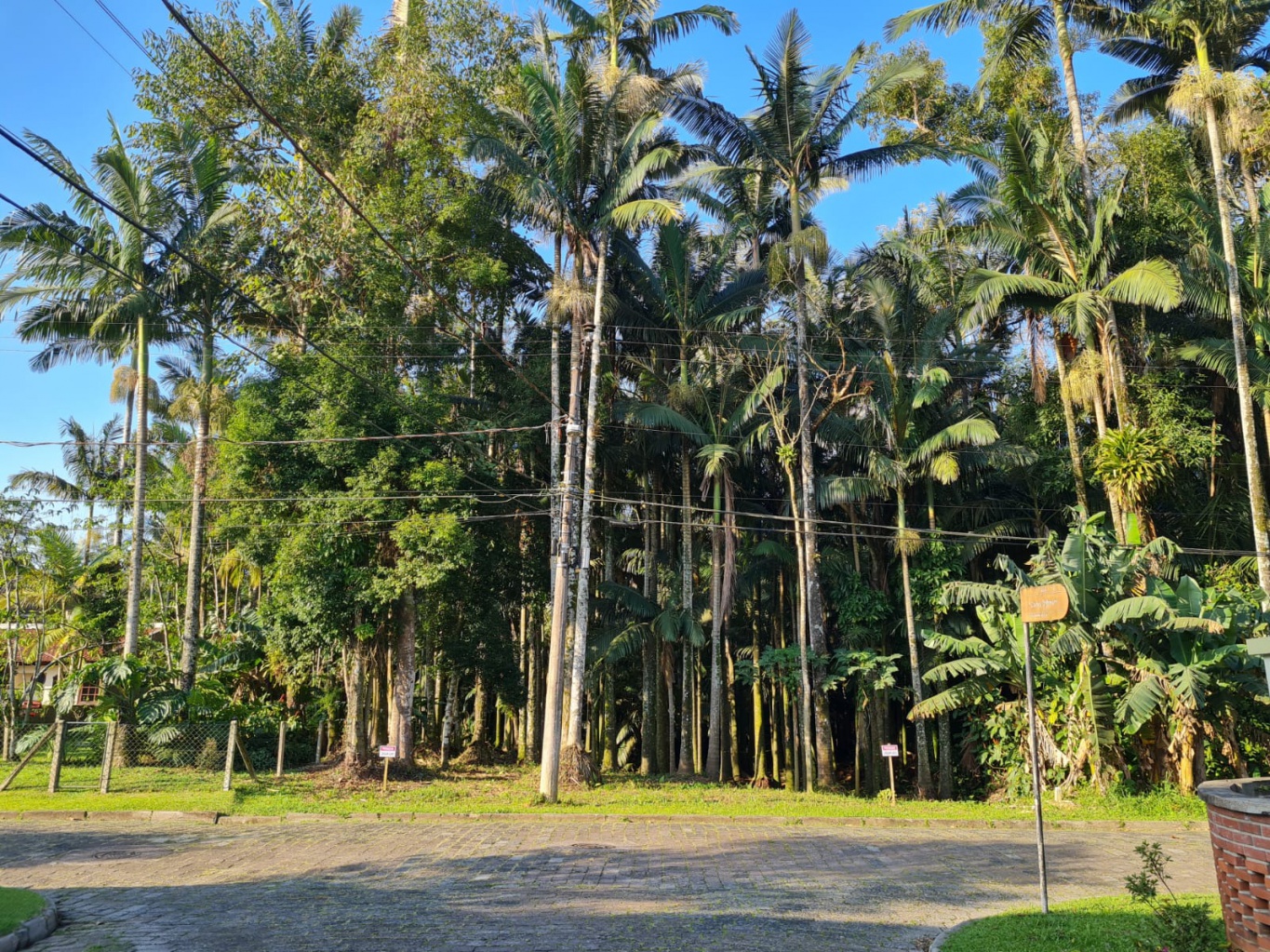 Terreno plano com excelente localização e metragem, próximo ao centro de Blumenau. — foto 7
