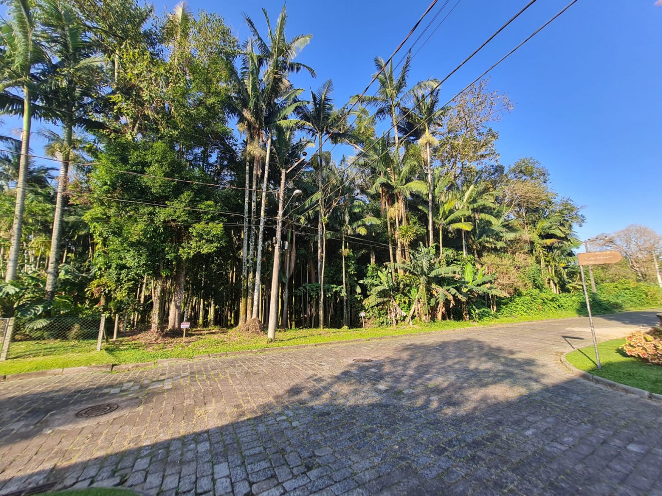 Terreno plano com excelente localização e metragem, próximo ao centro de Blumenau. - foto 1