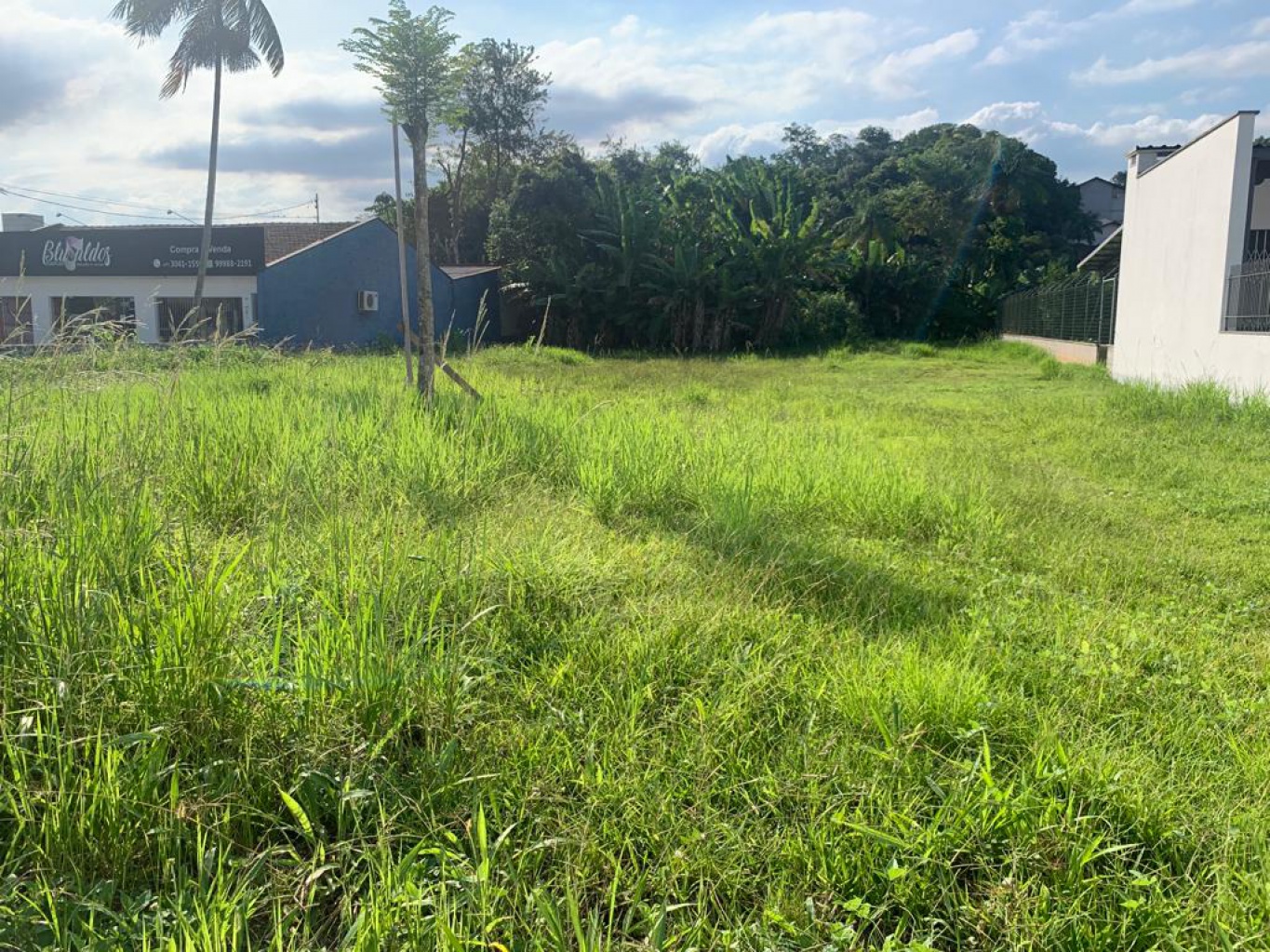 Terreno a venda na Água Verde — foto 4