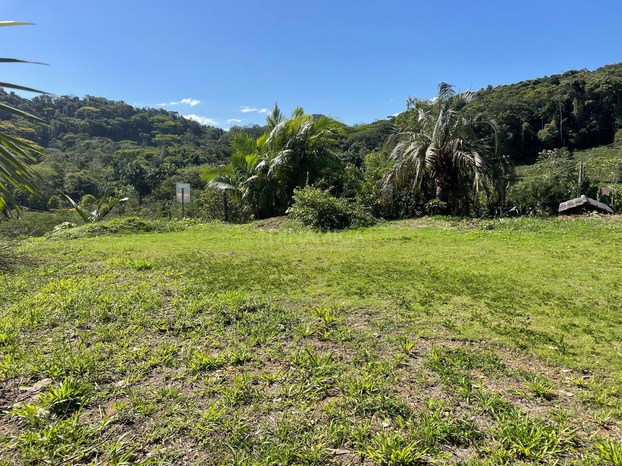 Terreno em corredor de serviço para fins comercial/residencial no bairro da Fidélis em Blumenau!!! — foto 7