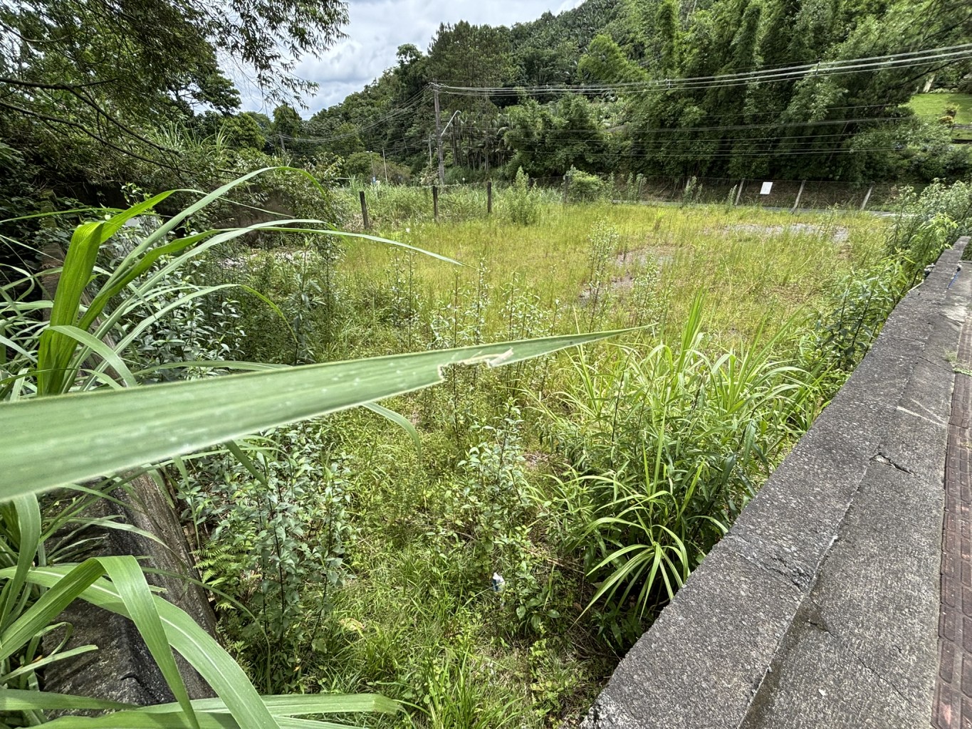 Comprar Lote/Terreno no bairro Vila Itoupava em Blumenau