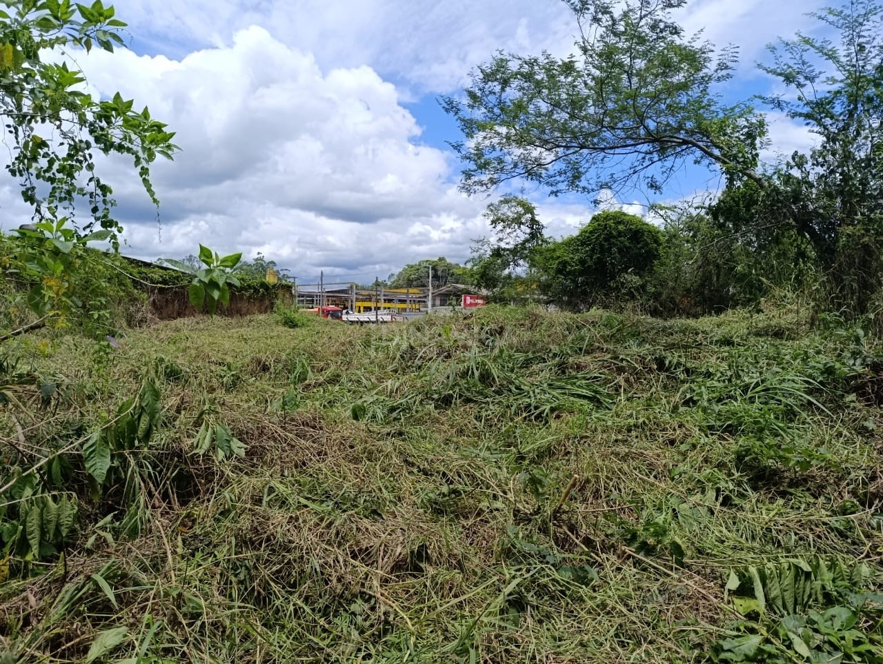 Comprar Lote/Terreno no bairro Rio Morto em Indaial