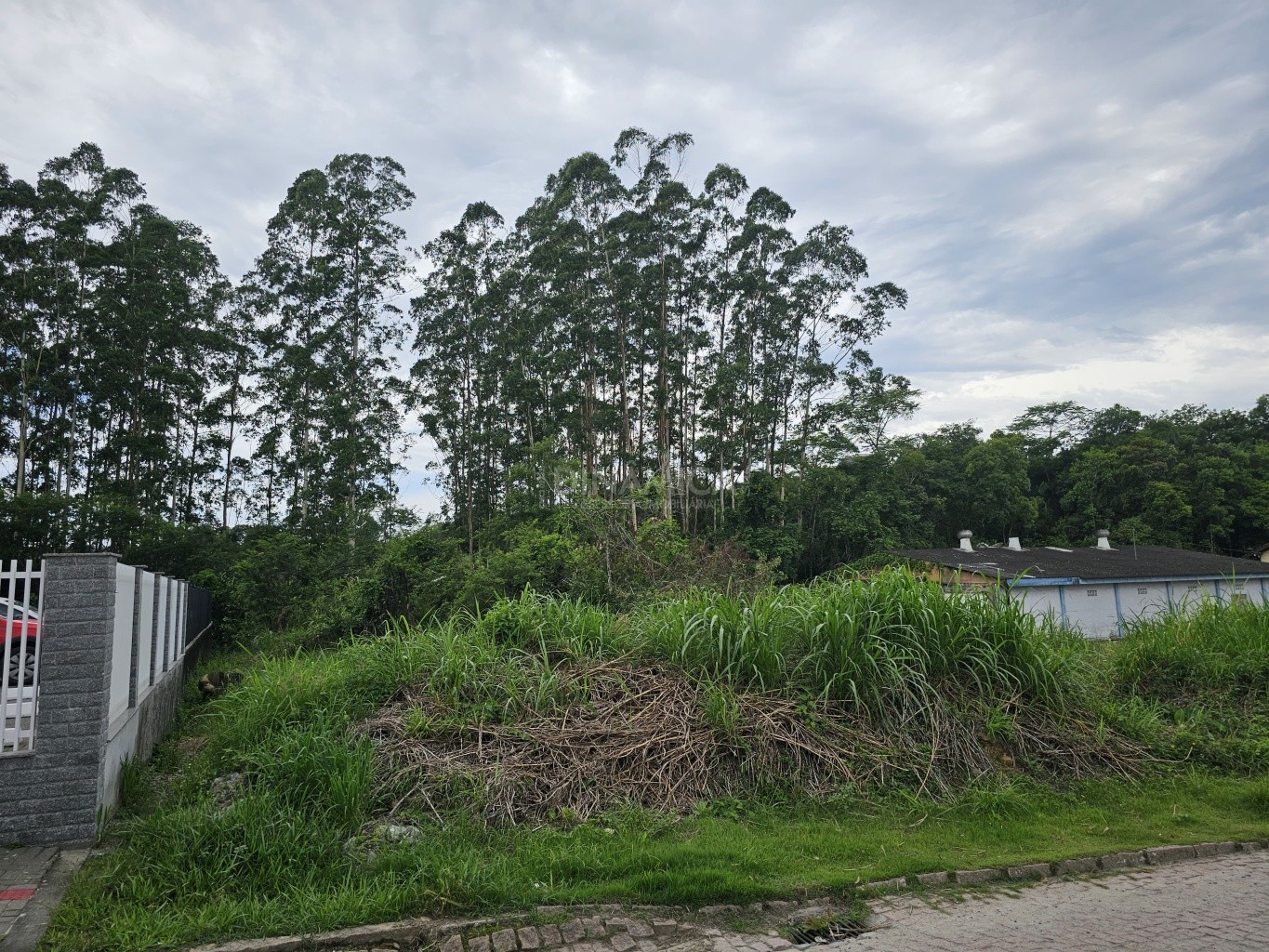 Comprar Lote/Terreno no bairro Rio Morto em Indaial