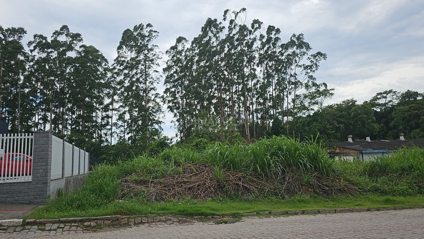 Comprar Lote/Terreno no bairro Rio Morto em Indaial