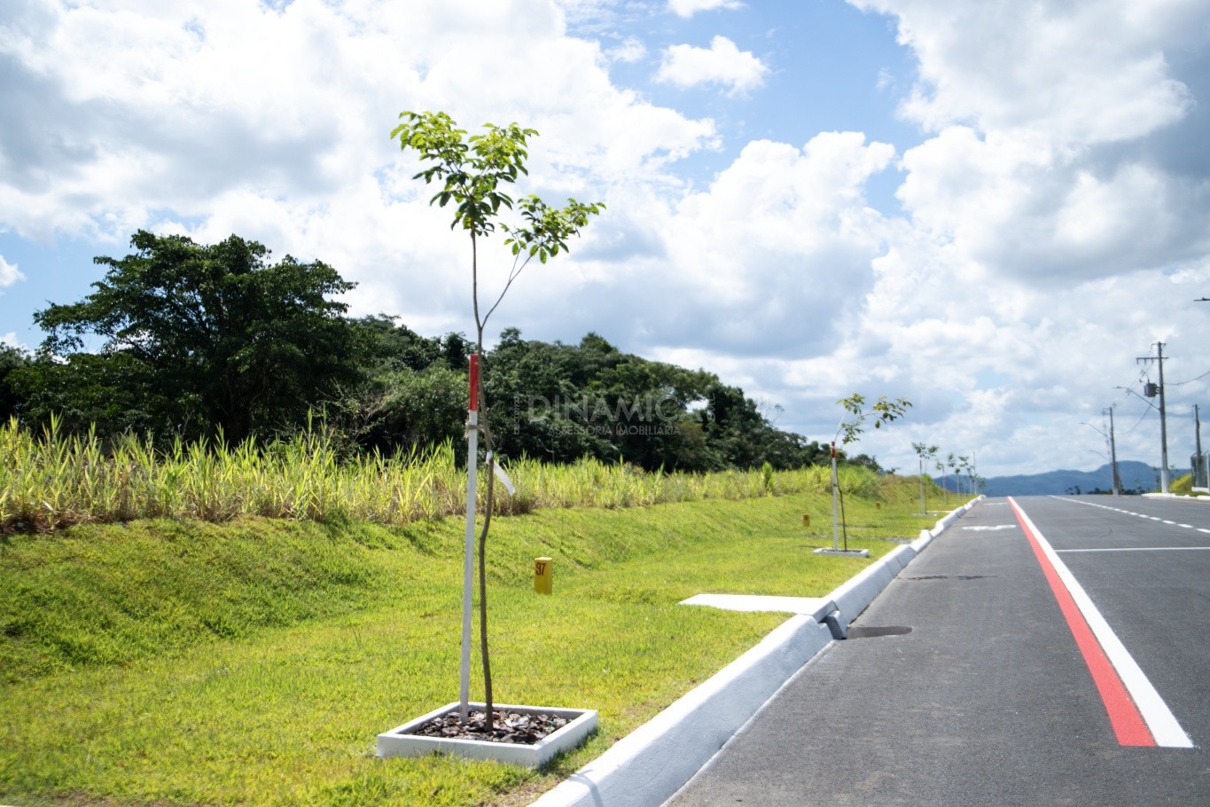 Comprar Lote/Terreno no bairro Warnow em Indaial