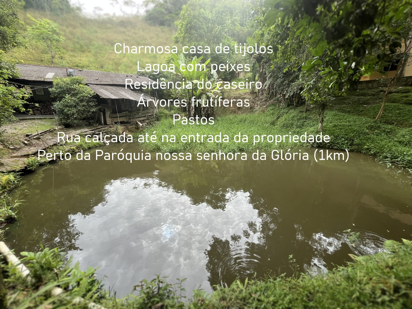 Comprar Sítio no bairro Garcia em Blumenau