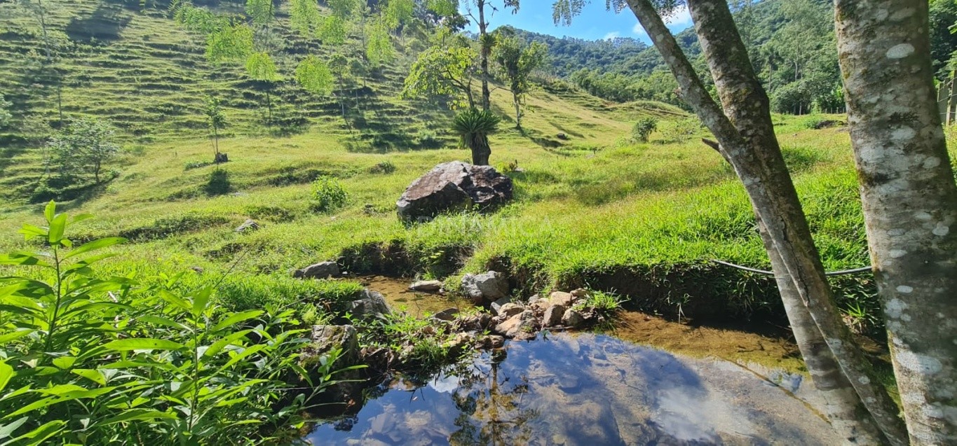 Comprar Lote/Terreno no bairro Testo Alto em Pomerode