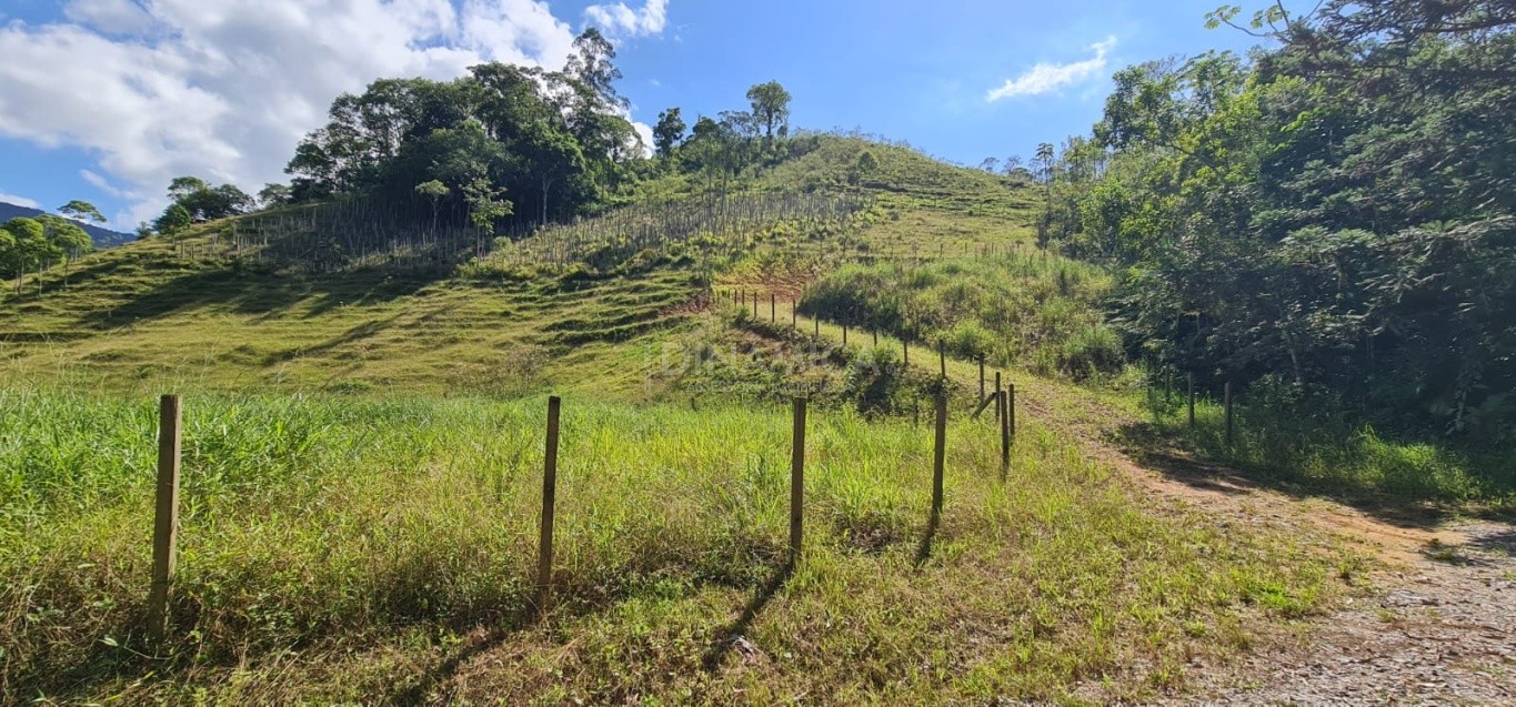 Comprar Lote/Terreno no bairro Testo Alto em Pomerode