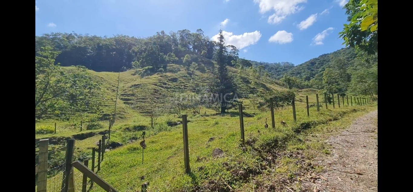Comprar Lote/Terreno no bairro Testo Alto em Pomerode