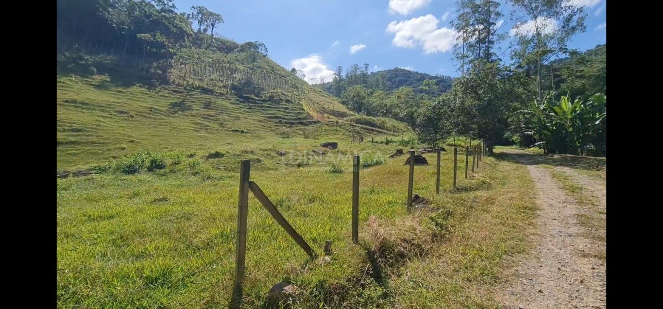 Comprar Lote/Terreno no bairro Testo Alto em Pomerode
