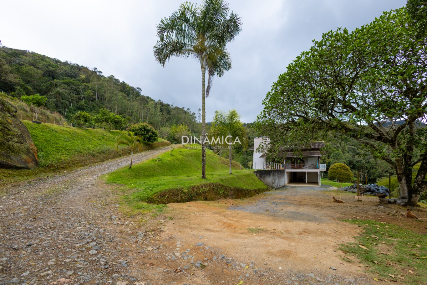 Excelente Sítio em Rio dos Cedros com amplo espaço , lagoa. pomar, horta, linda casa com 341 m2 — foto 6