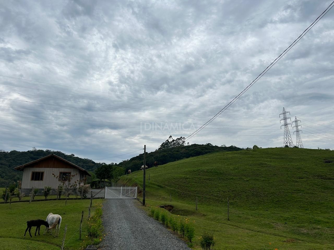 Terreno à Venda - 69.000 m no Bairro Fidélis, Blumenau/SC — foto 5
