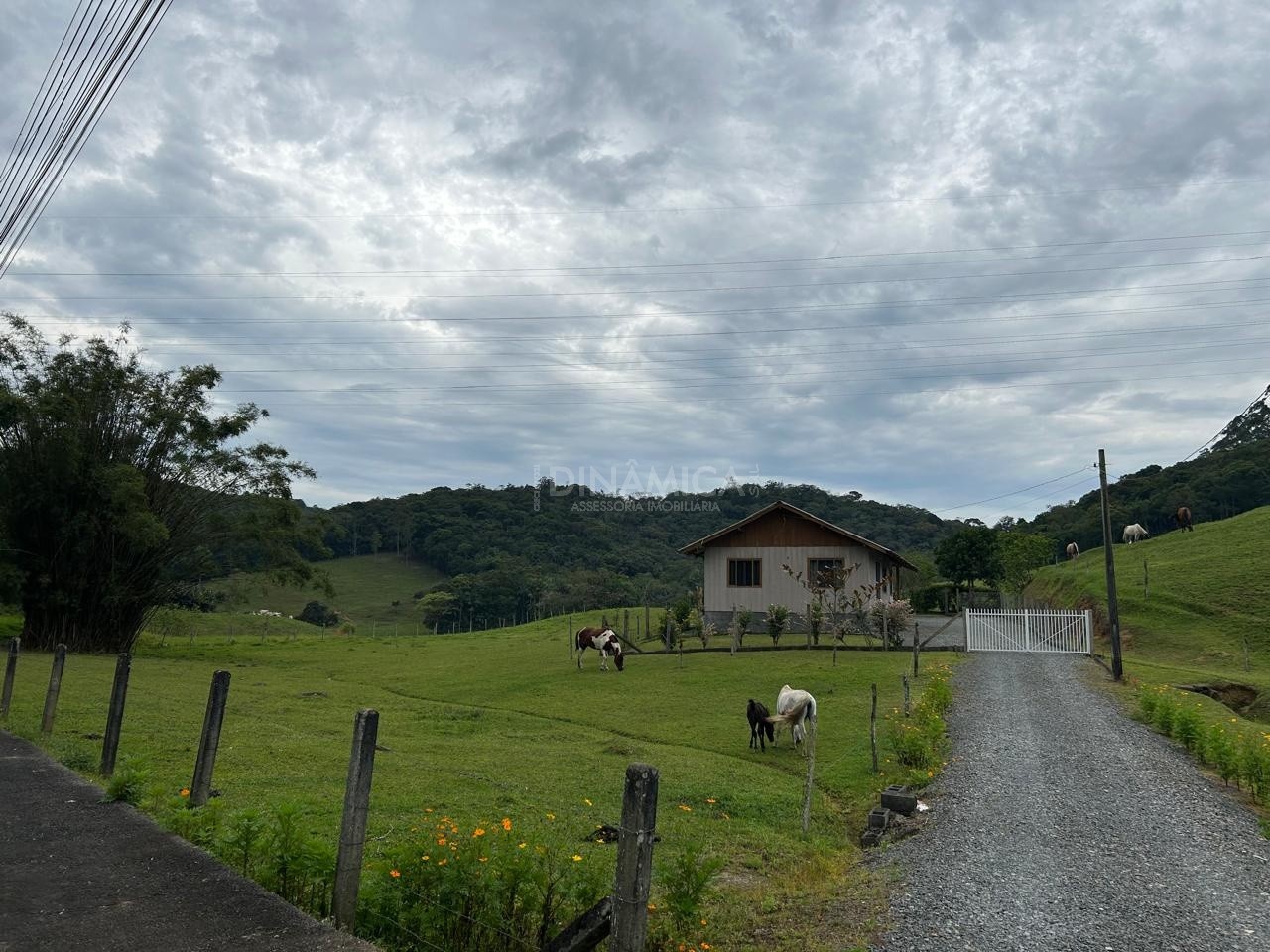 Terreno à Venda - 69.000 m no Bairro Fidélis, Blumenau/SC — foto 4